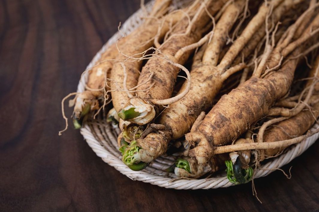 Koja je razlika između korejskog, sibirskog i američkog ginsenga ...